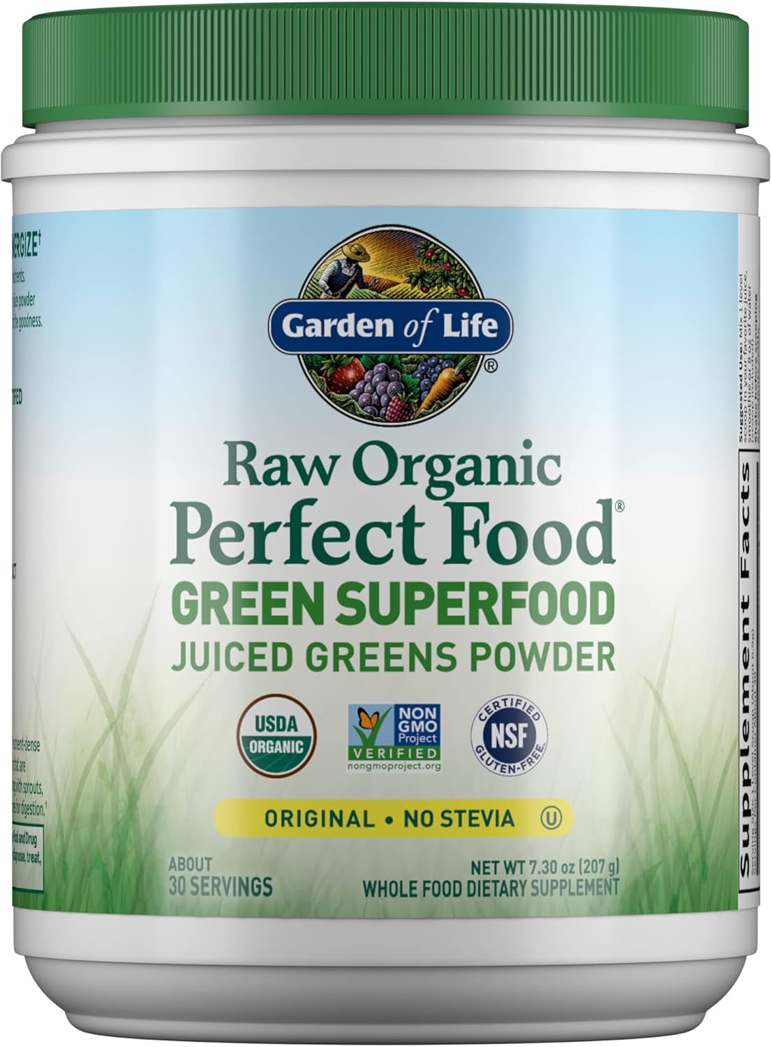 Garden of Life Perfect Food Raw Organic Green